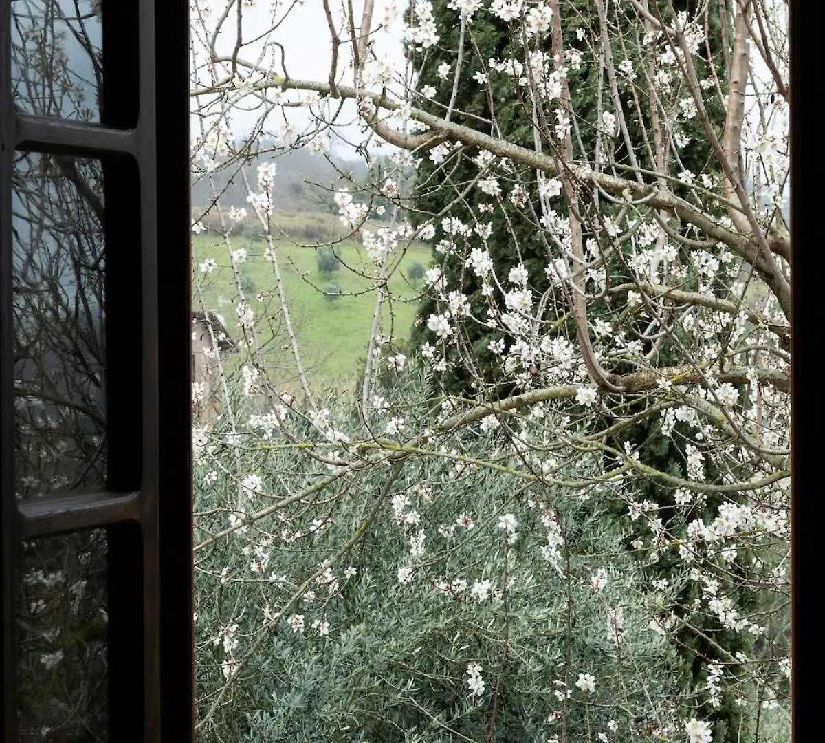 Giuma Tuscany Historic Lux Farmhouse Near Saturnia Spa Montemerano
